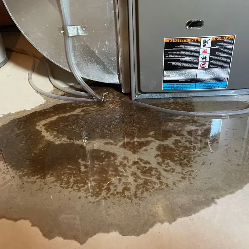 Pipe Burst and Leak Restoration in Lutherville, MD